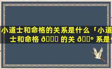 小道士和命格的关系是什么「小道士和命格 🕊 的关 🐺 系是什么意思」